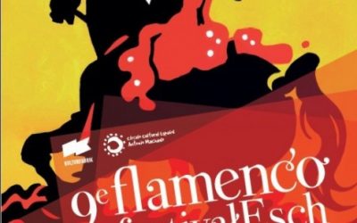 Festival Flamenco Esch-sur-Alzette 2014