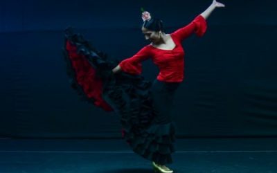 23 y 24 de noviembre | Talleres de flamenco